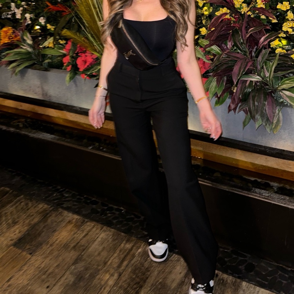 Aritzia babaton trousers - Picture 2 of 5
